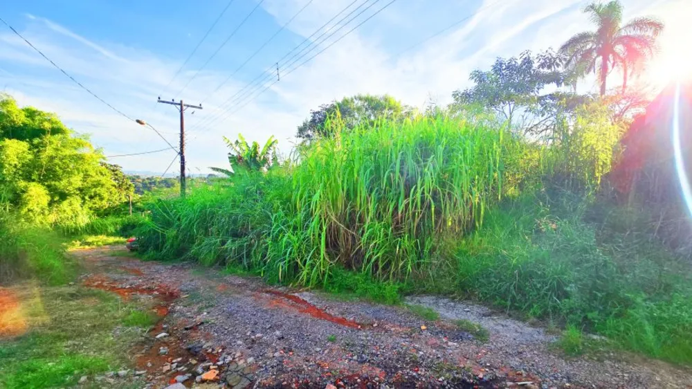 Terreno, 250 m² - Foto 8
