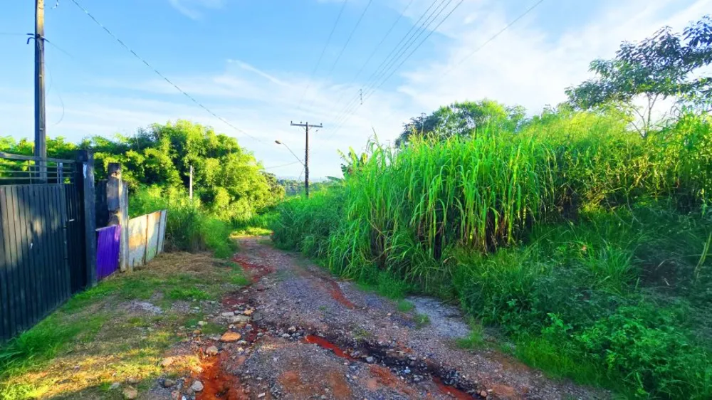 Terreno, 250 m² - Foto 6