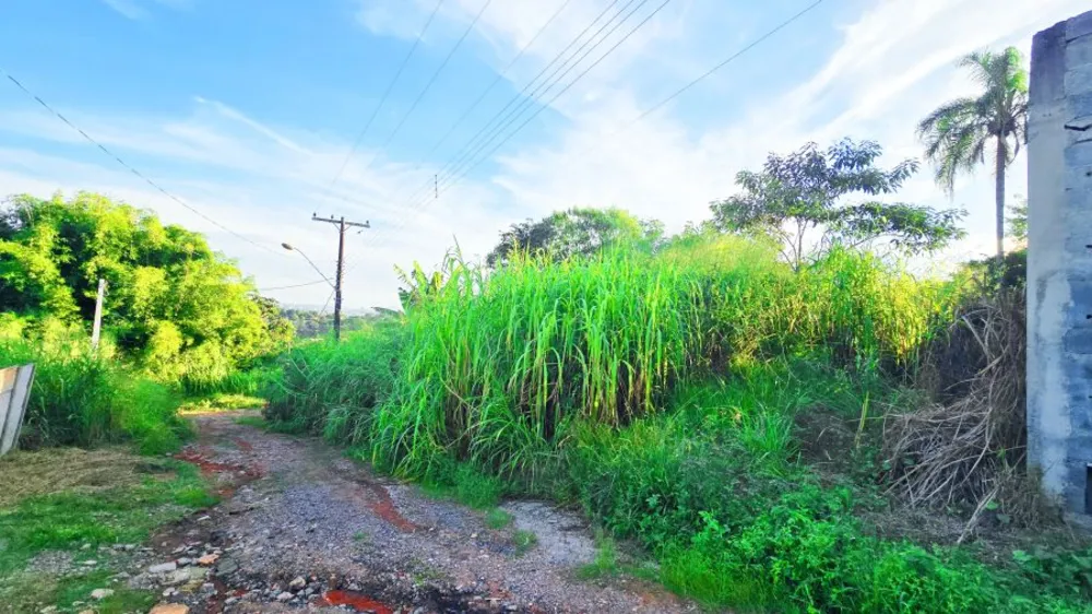 Terreno, 250 m² - Foto 6