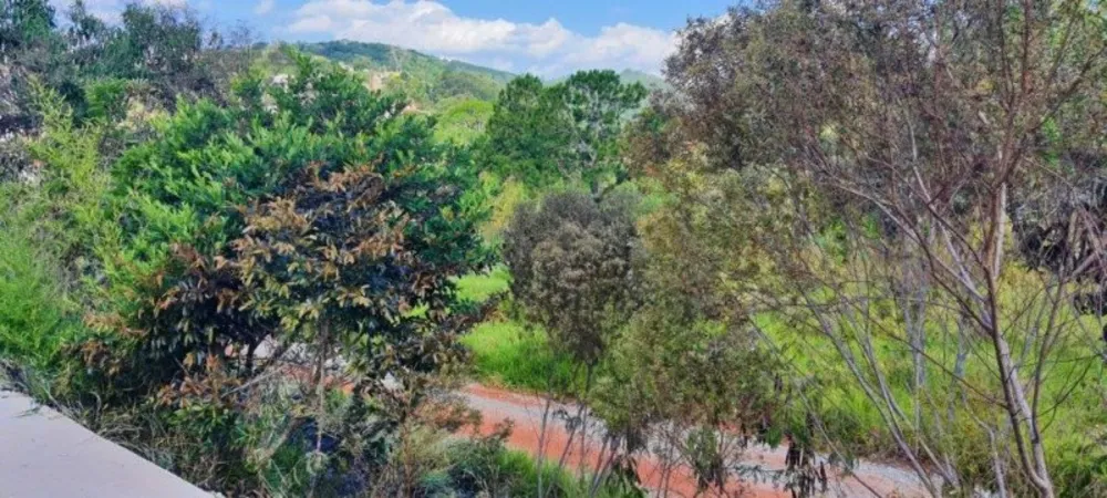 Terreno, 725 m² - Foto 7