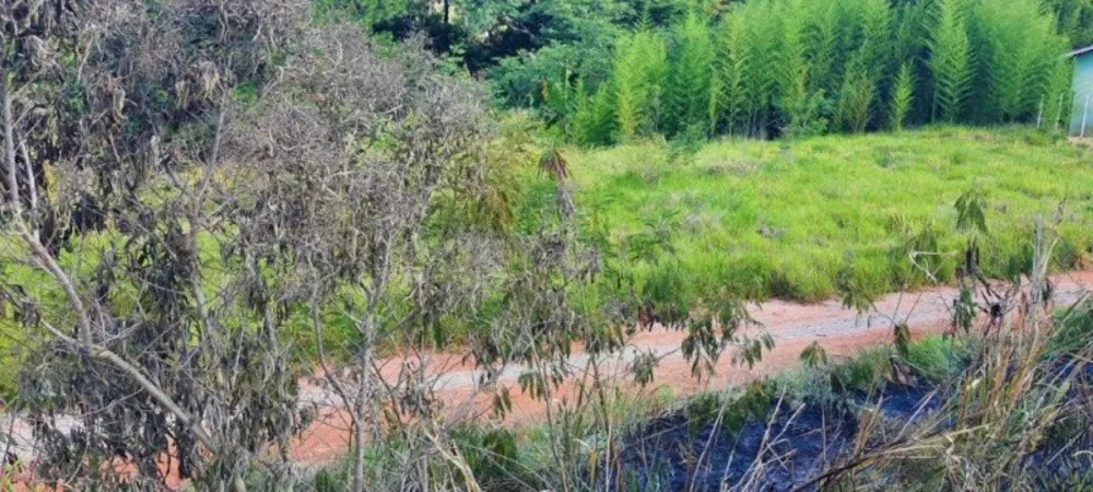 Terreno, 725 m² - Foto 7