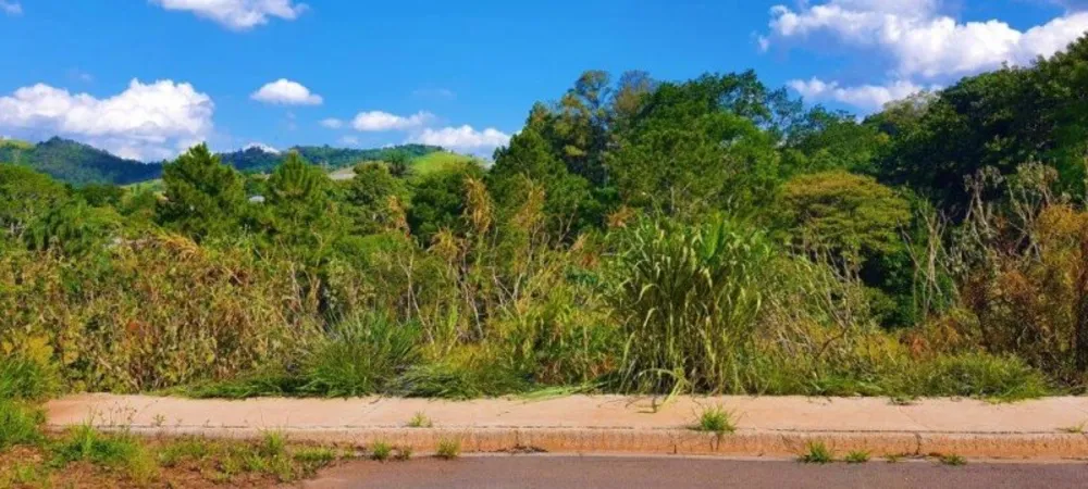 Terreno, 725 m² - Foto 5