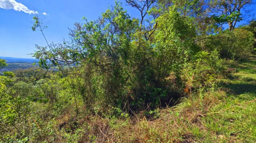 Terreno, 1000 m² - Foto 5