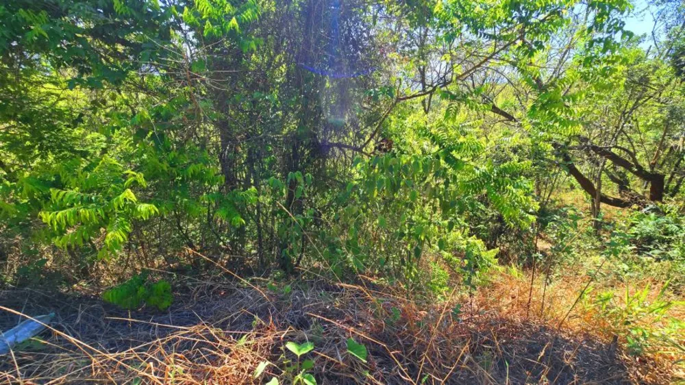 Terreno, 1000 m² - Foto 9