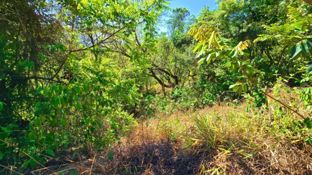Terreno, 1000 m² - Foto 6