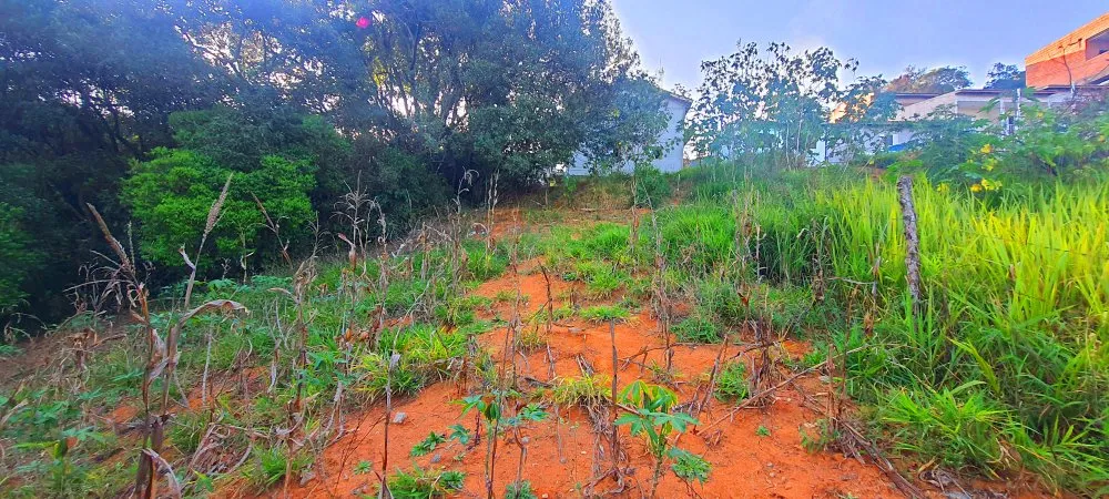 Terreno, 390 m² - Foto 15