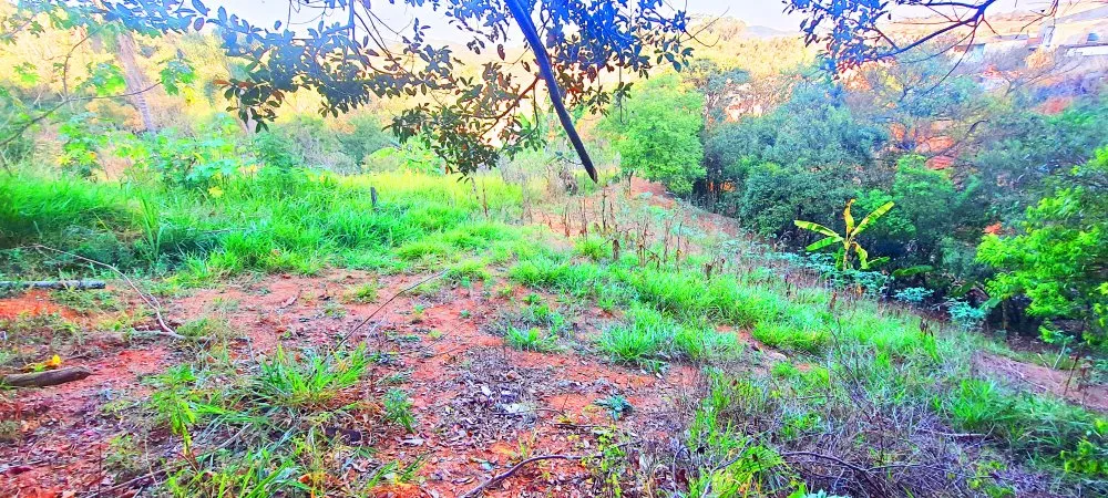 Terreno, 390 m² - Foto 11