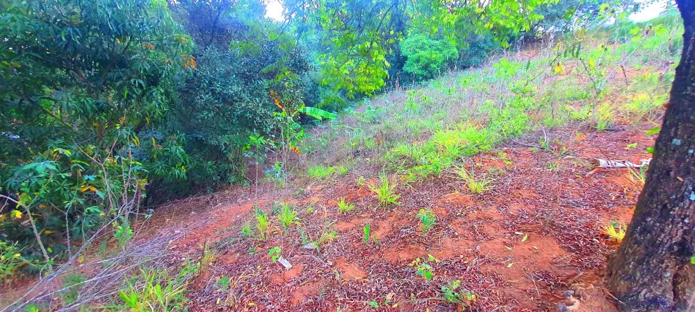 Terreno, 390 m² - Foto 1