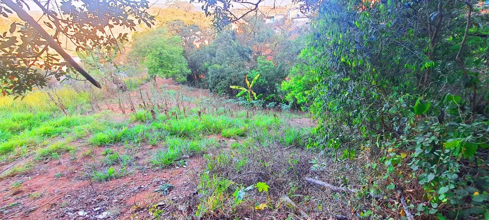 Terreno, 390 m² - Foto 5