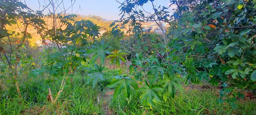Terreno, 390 m² - Foto 3