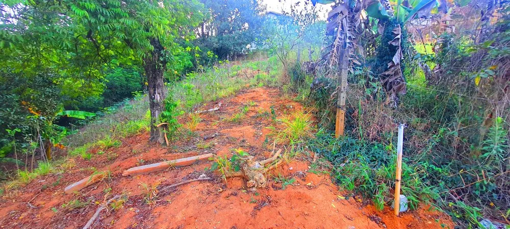 Terreno, 390 m² - Foto 3