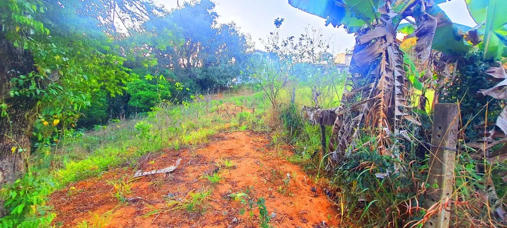Terreno, 390 m² - Foto 7