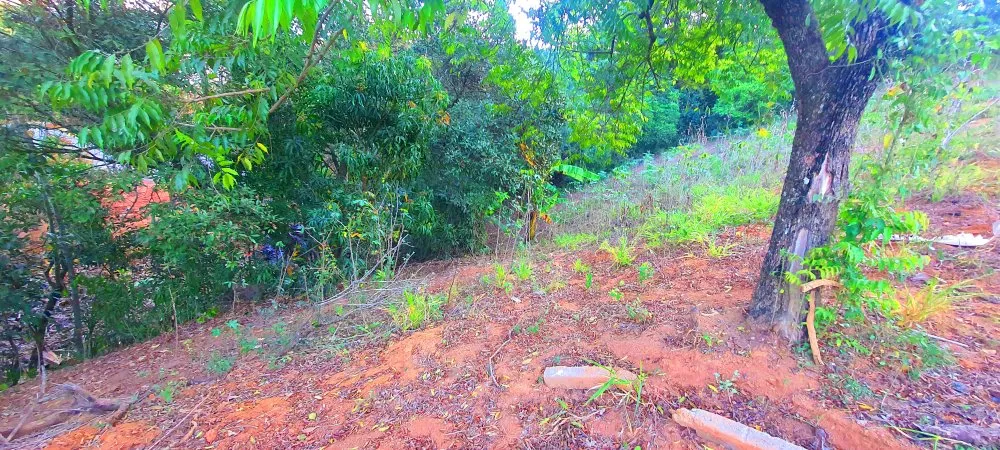 Terreno, 390 m² - Foto 8