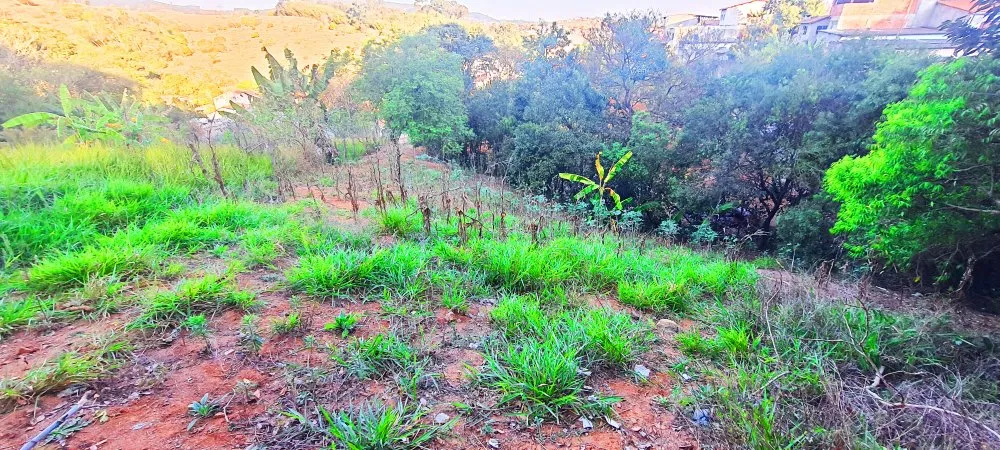 Terreno, 390 m² - Foto 4