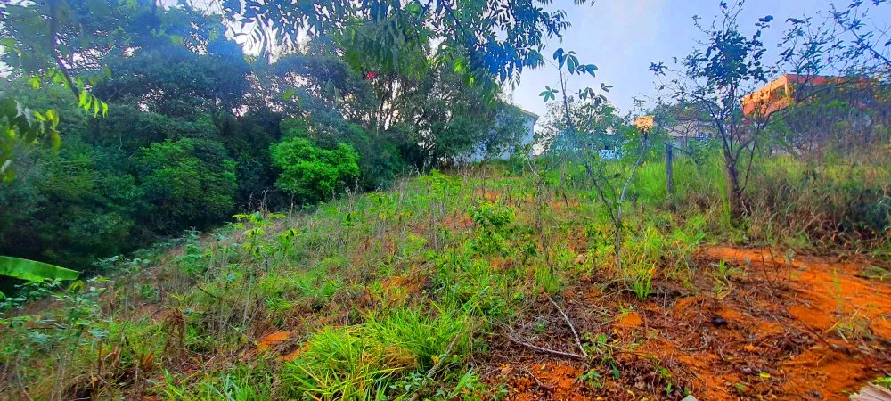 Terreno, 390 m² - Foto 12