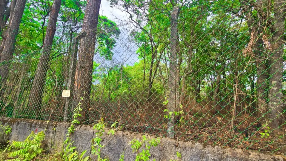 Terreno, 653 m² - Foto 8