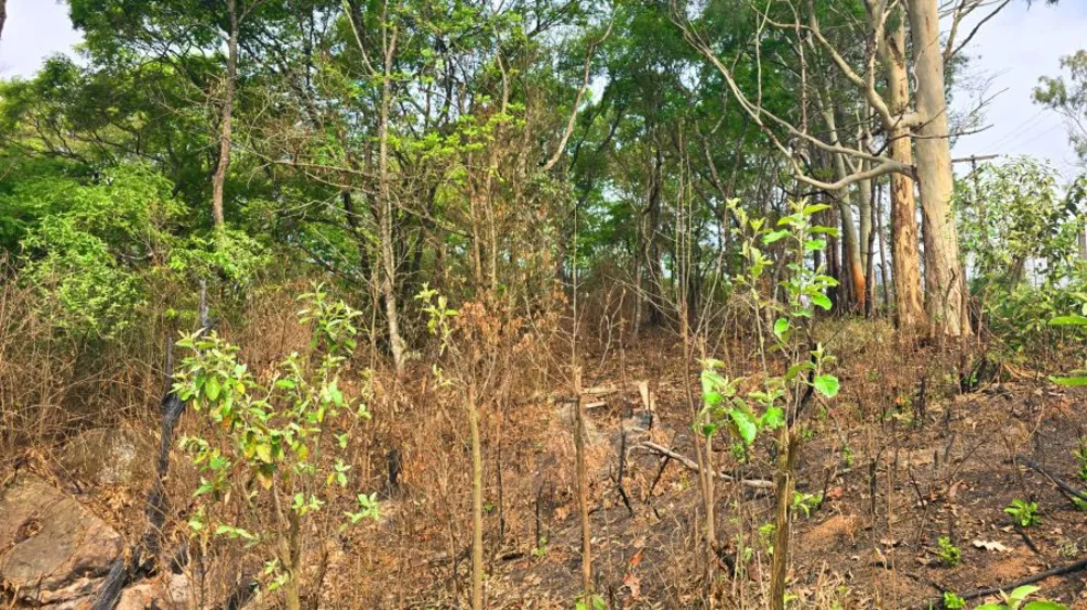 Terreno, 653 m² - Foto 9