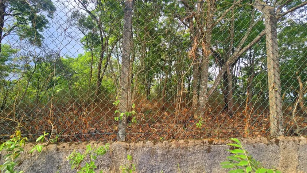 Terreno, 653 m² - Foto 6