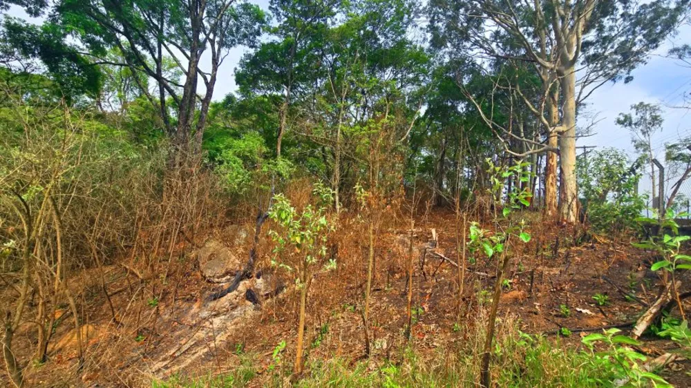 Terreno, 653 m² - Foto 15