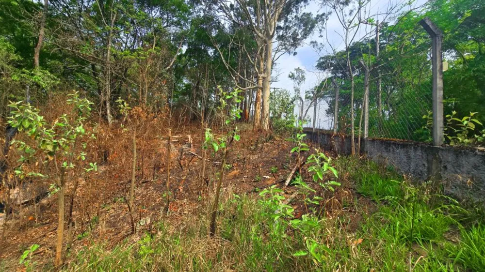 Terreno, 653 m² - Foto 5