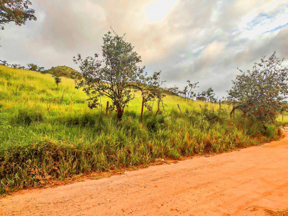 Terreno, 1002 m² - Foto 12