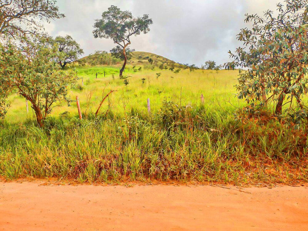 Terreno, 1002 m² - Foto 9