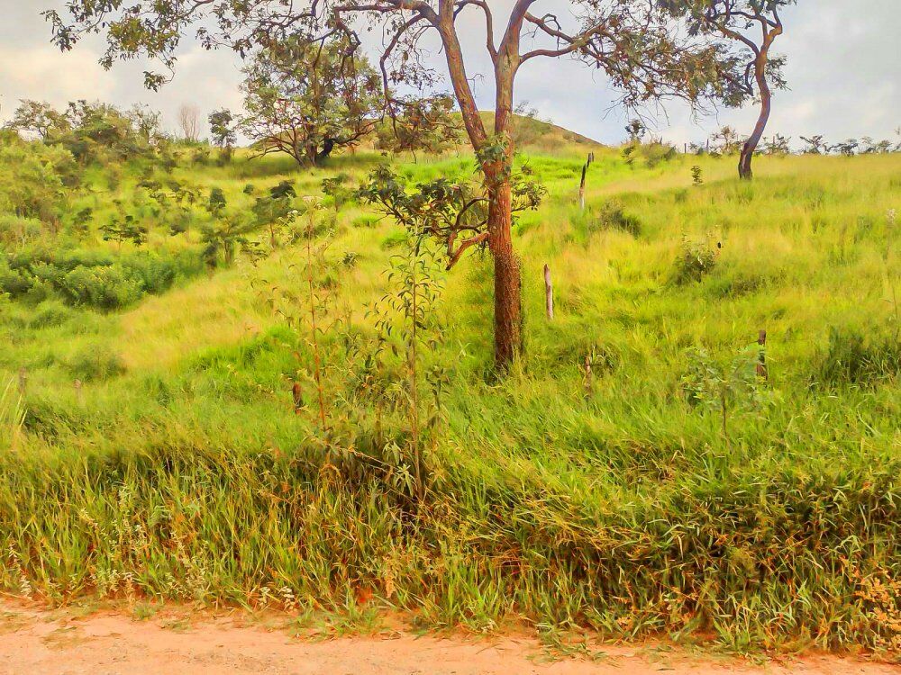 Terreno, 1002 m² - Foto 14