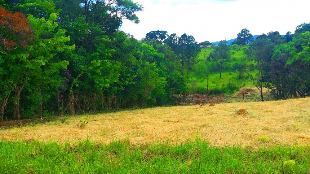Terreno, 1300 m² - Foto 17