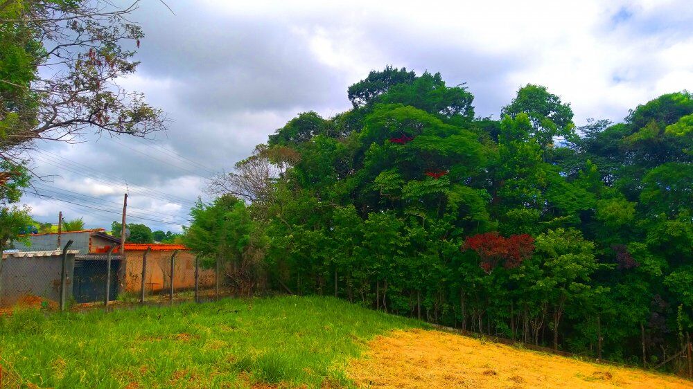 Terreno, 1300 m² - Foto 5