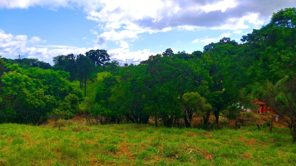 Terreno, 1300 m² - Foto 14