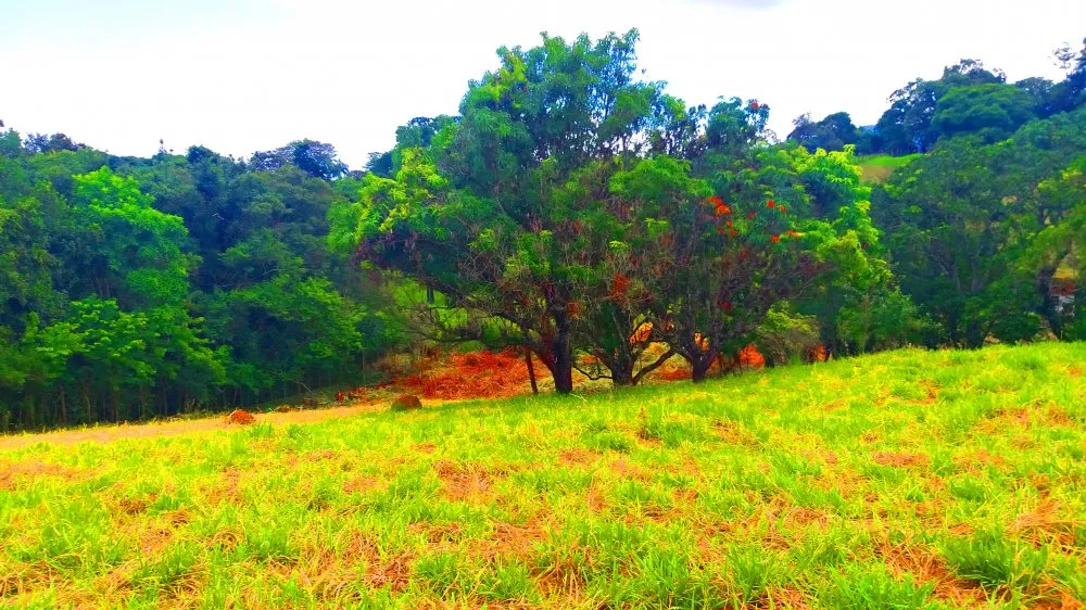 Terreno, 1300 m² - Foto 1