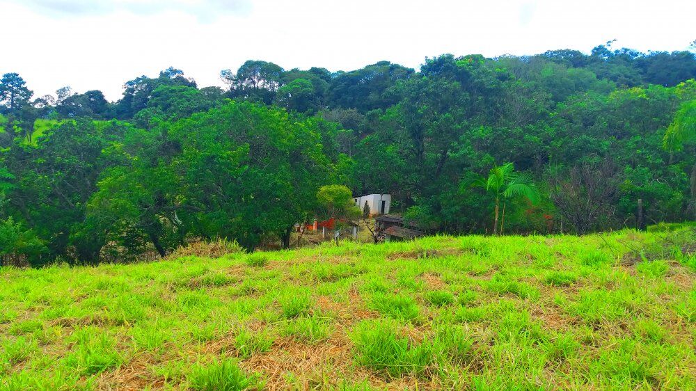 Terreno, 1300 m² - Foto 19