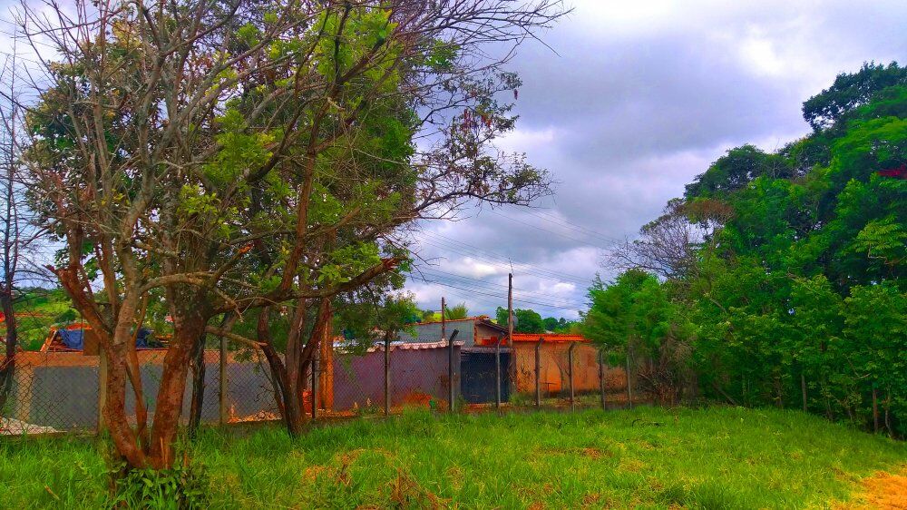 Terreno, 1300 m² - Foto 2