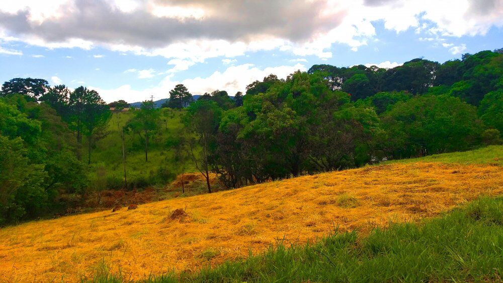 Terreno, 1300 m² - Foto 1