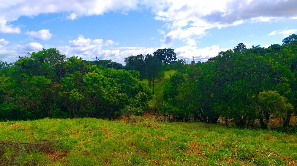 Terreno, 1300 m² - Foto 10