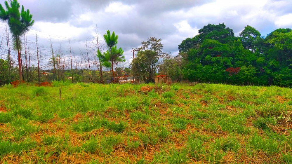 Terreno, 1300 m² - Foto 16