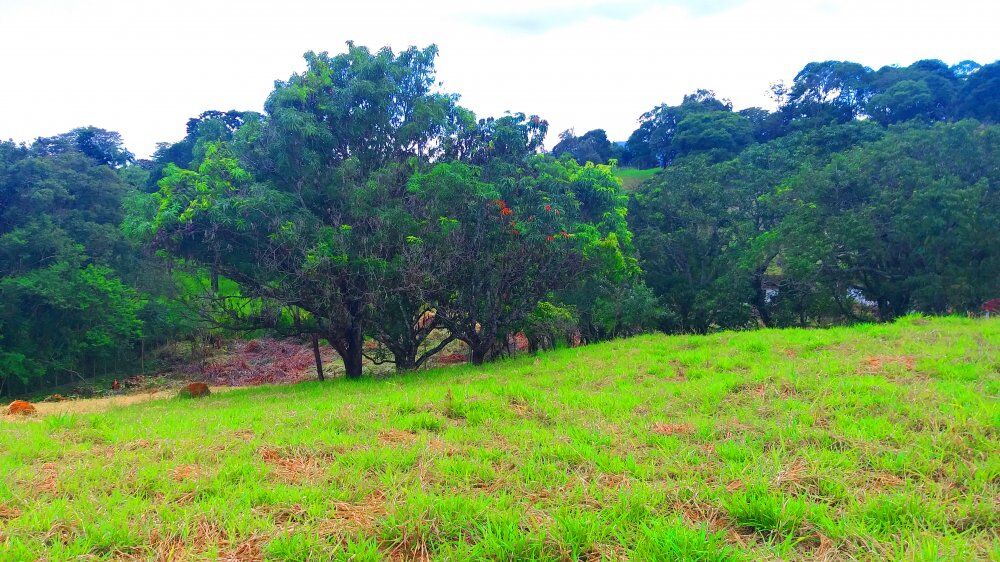 Terreno, 1300 m² - Foto 15