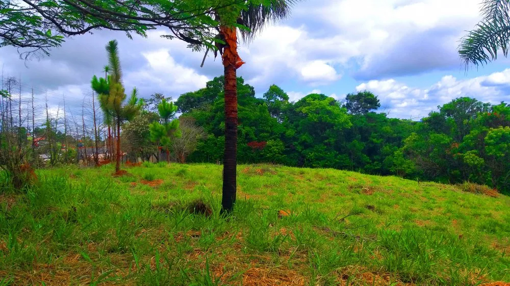 Terreno, 1300 m² - Foto 23