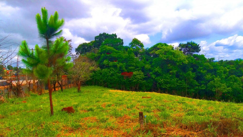 Terreno, 1300 m² - Foto 9