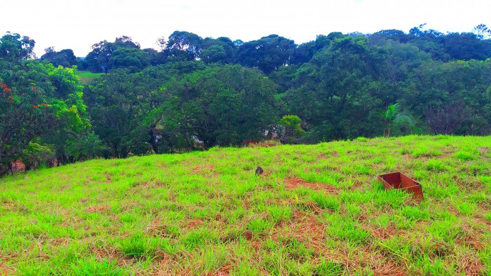 Terreno, 1300 m² - Foto 3