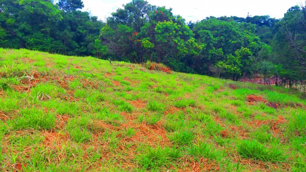 Terreno, 1300 m² - Foto 6