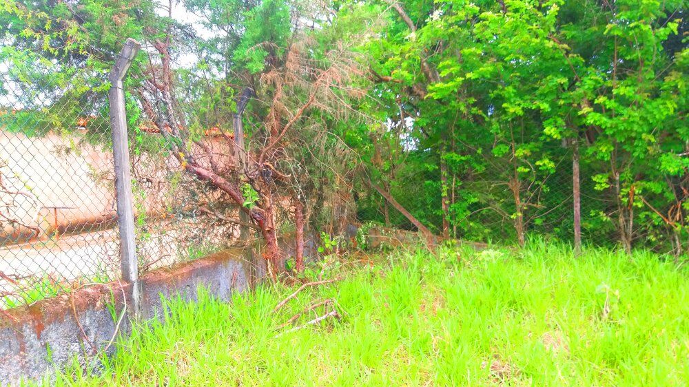 Terreno, 1300 m² - Foto 12