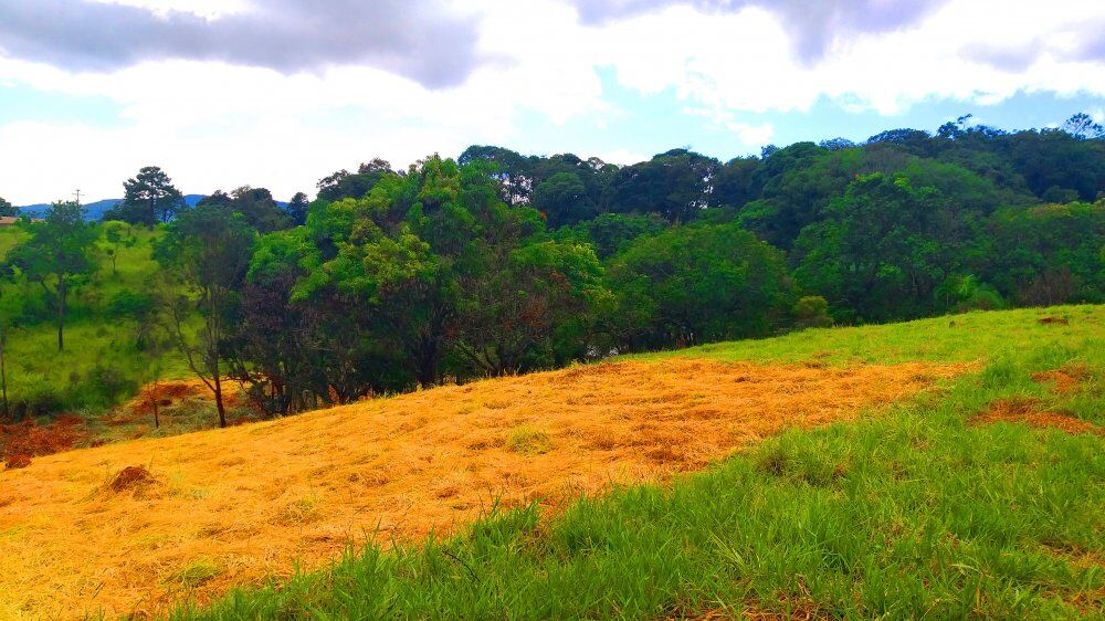 Terreno, 1300 m² - Foto 4