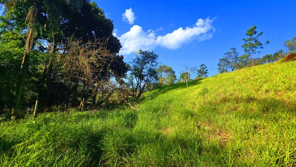 Terreno, 500 m² - Foto 1