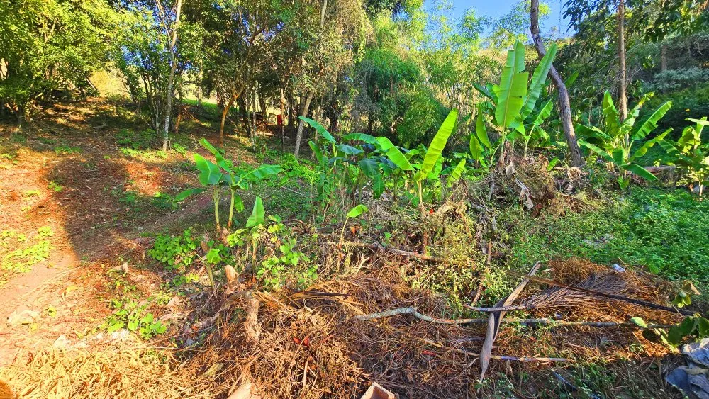 Terreno, 500 m² - Foto 7