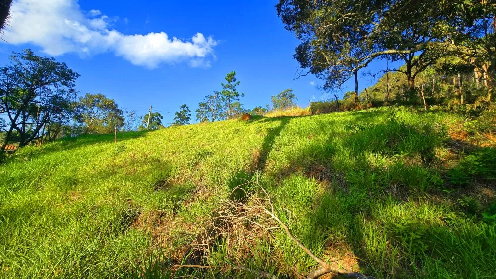 Terreno, 500 m² - Foto 4