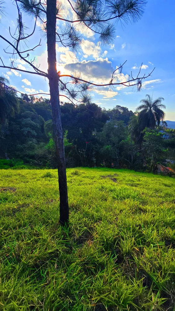 Terreno, 500 m² - Foto 3