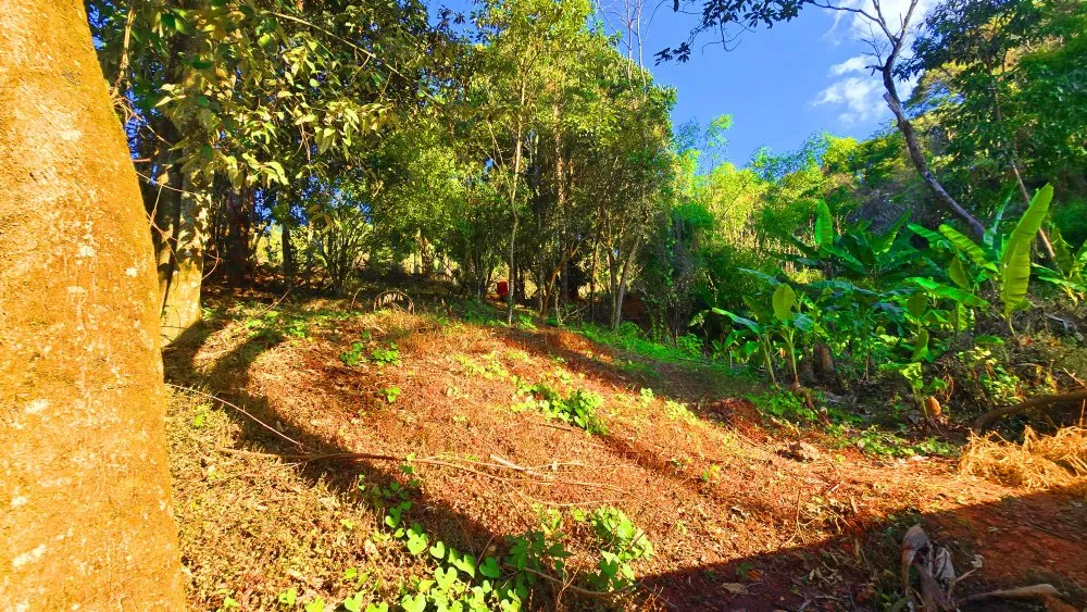 Terreno, 500 m² - Foto 6