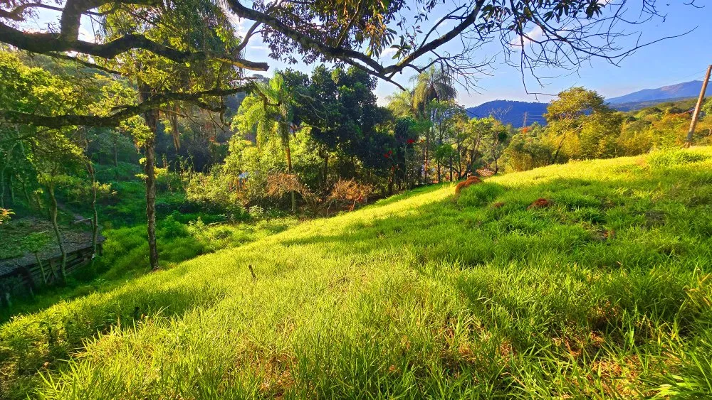 Terreno, 500 m² - Foto 7