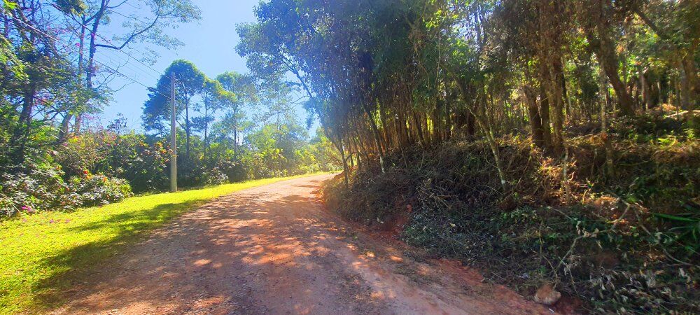 Terreno, 500 m² - Foto 7